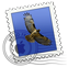 Apple_Mail_logo
